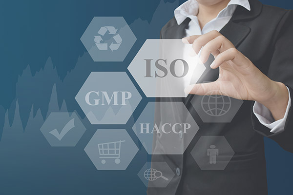 Audit & Surveillance